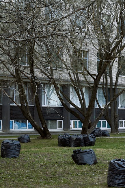 A row of several black garbage bags filled with waste are placed on a grassy area in front of a multi-storey residential building. The bags are tightly sealed and positioned in a staggered arrangement across the lawn. In the background, there are leafless trees with twisting branches, partially obscuring the building’s facade, which features large windows with white frames and dark exterior panels. The scene appears to be an outdoor clearance or waste collection area, with the bags likely prepared for disposal or removal by a private rubbish collection service, such as Rubbish Removal Ealing, in a typical residential setting. The environment is overcast, providing diffused natural light that highlights the textures of the discarded bags and the tree bark, creating a neutral, professional portrayal of outdoor rubbish management activities.