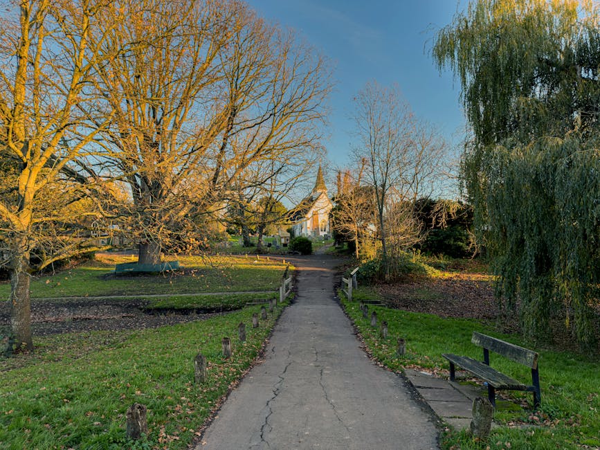 A paved footpath in Walpole Park, Ealing, shown in late afternoon sunlight, with visible cracks and wear on the concrete surface. The path travels straight ahead, flanked on both sides by short wooden posts and green grass. On the left side, a large deciduous tree with leafless branches extends overhead, casting shadows on the ground, while on the right, a tall, lush weeping willow tree with drooping branches features green foliage. In the background, there are more trees, some with sparse or no leaves, and a clear blue sky. A small wooden bench is situated on the right side of the pathway, with a portion of a street drainage grate visible nearby on the left. Further ahead, the path gently curves and leads towards structures partially obscured by trees, including what appears to be a church steeple. The setting suggests a quiet park during autumn or early winter, with subtle elements indicating it may be part of an estate undergoing or requiring routine rubbish or garden waste removal, reflecting the context of private waste management services like Rubbish Removal Ealing.